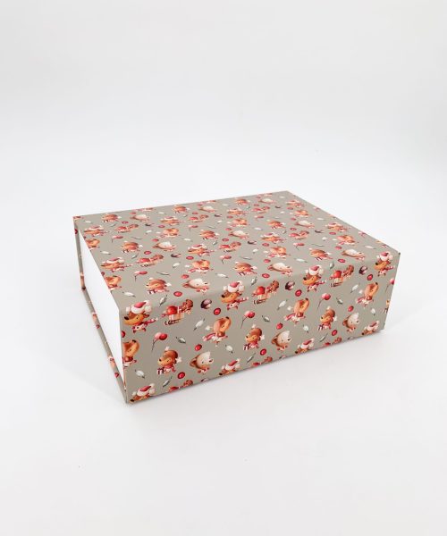 Weihnachtsbox für Kids