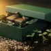 Offene Premium-Geschenkbox mit Seidenpapier, daneben Samen und grüne Keimlinge in dunkler Erde, warmes Seitenlicht.